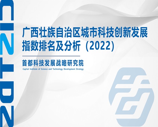 国产老阿姨黄色网站【成果发布】广西壮族自治区城市科技创新发展指数排名及分析（2022）